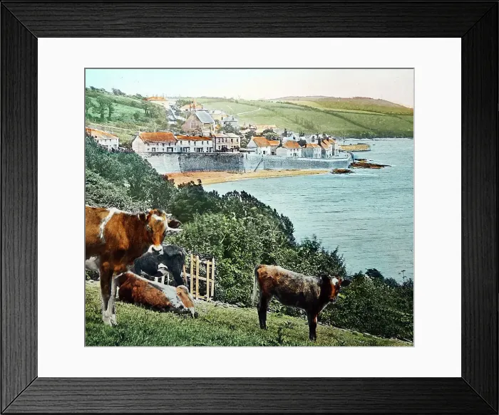 Framed Print : St. Mawes, Cornwall, Victorian period Framed Print : St. Mawes, Cornwall, Victorian period