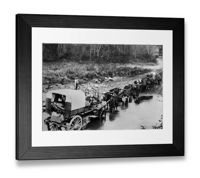 Framed Print : Boers on the Great Trek, Victorian period Framed Print : Boers on the Great Trek, Victorian period