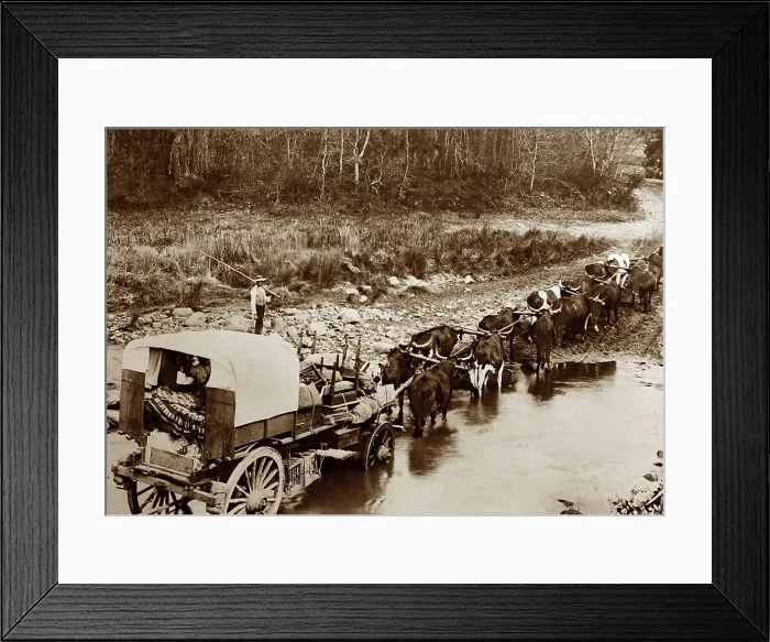 Framed Print : Boers on the Great Trek, Victorian period Framed Print : Boers on the Great Trek, Victorian period