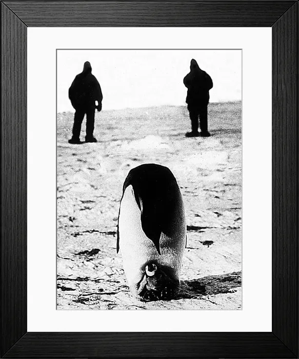 Framed Print : (insert caption) Framed Print : (insert caption)