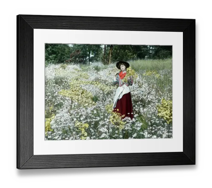 Framed Print : Picking Daisies Victorian period Framed Print : Picking Daisies Victorian period