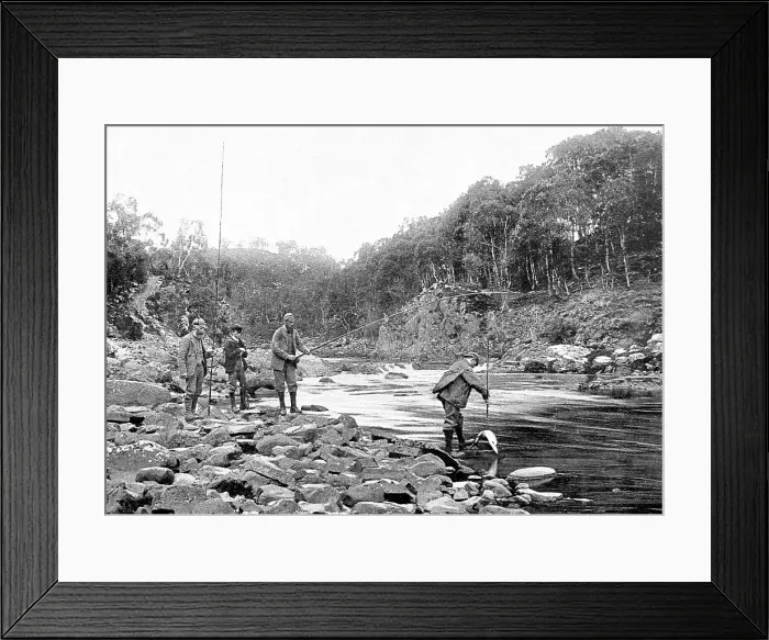 Framed Print : Salmon Fishing Victorian period Framed Print : Salmon Fishing Victorian period
