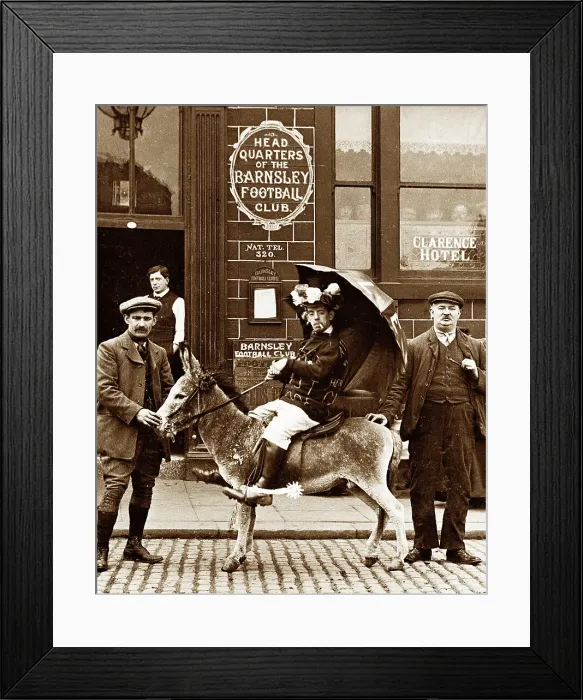 Framed Print : Amos, Barnsley Football Club mascot Framed Print : Amos, Barnsley Football Club mascot