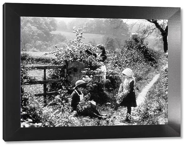 Gilrs Blackberrying Victorian period