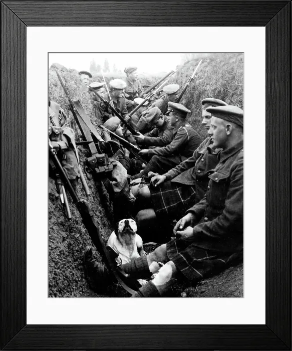Framed Print : Seaforth Highlanders and a dog in a trench in WW1 Framed Print : Seaforth Highlanders and a dog in a trench in WW1