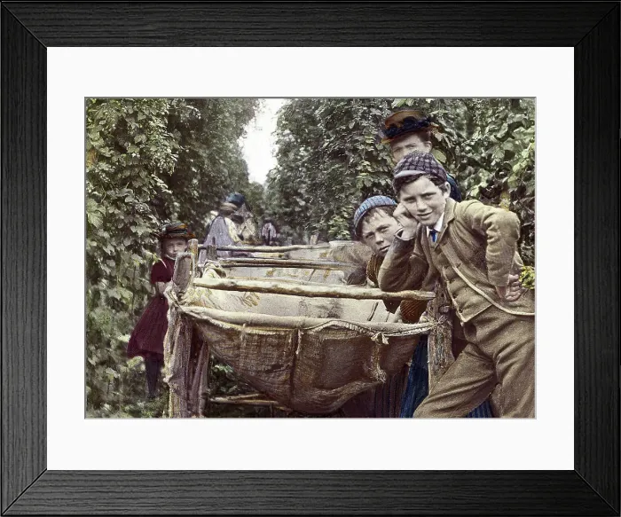 Framed Print : Kent Hop Pickers early 1900s Framed Print : Kent Hop Pickers early 1900s