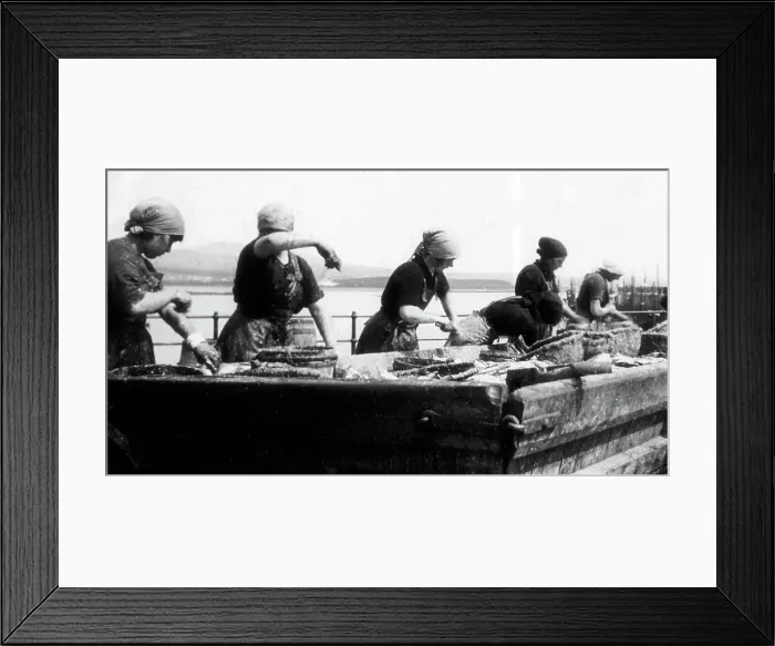 Framed Print : Port St. Mary Isle of Man gutting herring early 1900s Framed Print : Port St. Mary Isle of Man gutting herring early 1900s