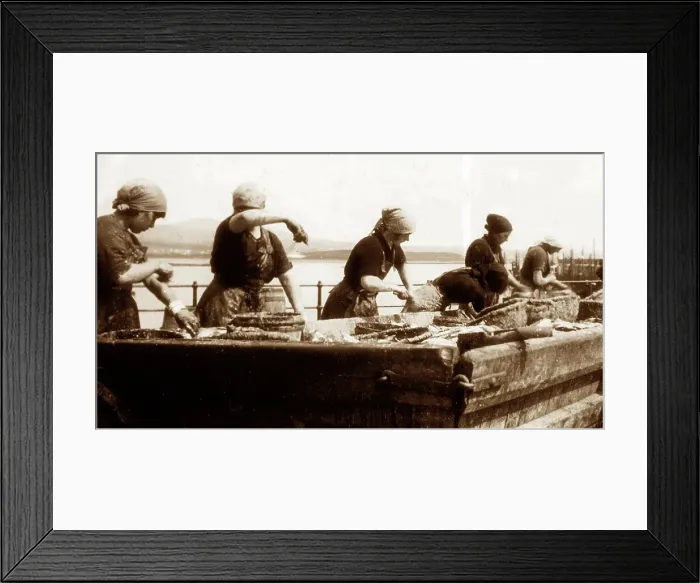 Framed Print : Gutting herring, Port St. Mary, Isle of Man, early 1900s Framed Print : Gutting herring, Port St. Mary, Isle of Man, early 1900s