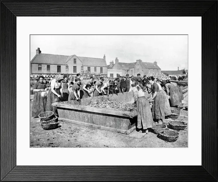 Framed Print : Herring gutters Stornoway Isle of Lewis Victorian period Framed Print : Herring gutters Stornoway Isle of Lewis Victorian period
