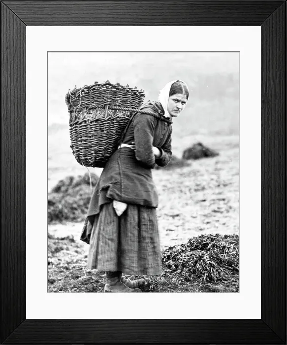 Framed Print : Carrying peat on the Isle of Skye, Victorian period Framed Print : Carrying peat on the Isle of Skye, Victorian period
