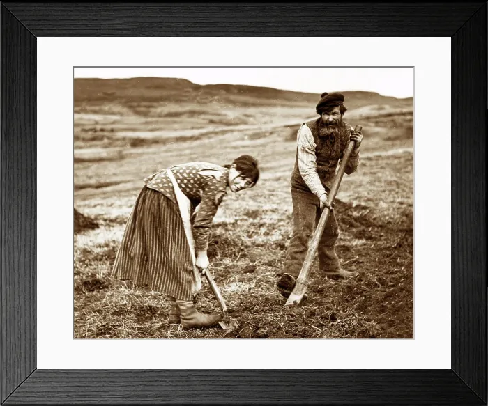 Framed Print : Crofters cutting peat on the west coast of Scotland Framed Print : Crofters cutting peat on the west coast of Scotland