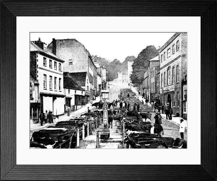 Framed Print : Arundel Cattle Market early 1900s Framed Print : Arundel Cattle Market early 1900s