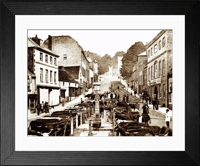 Framed Print : Arundel market, early 1900s Framed Print : Arundel market, early 1900s