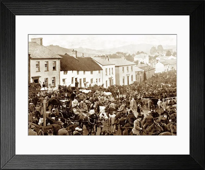 Framed Print : Bampton Exmoor Pony Fair early 1900s Framed Print : Bampton Exmoor Pony Fair early 1900s