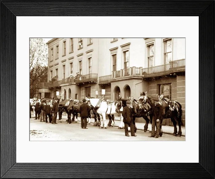 Framed Print : Corporation Carthorse Parade, Leamington Spa, early 1900s Framed Print : Corporation Carthorse Parade, Leamington Spa, early 1900s