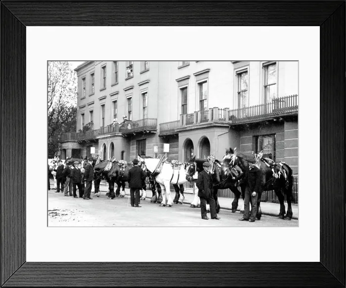 Framed Print : Leamington Spa Corporation Carthorse Parade early 1900s Framed Print : Leamington Spa Corporation Carthorse Parade early 1900s