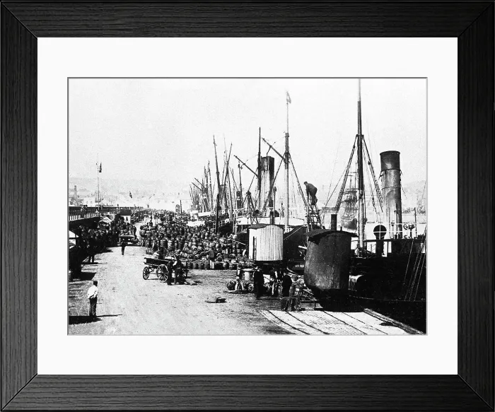 Framed Print : Jersey shipping potatoes early 1900s Framed Print : Jersey shipping potatoes early 1900s