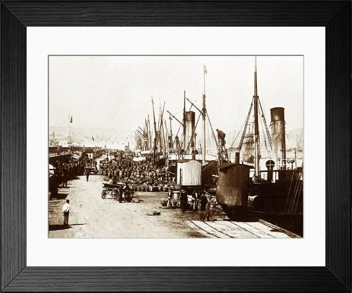 Framed Print : Shipping potatoes from Jersey, early 1900s Framed Print : Shipping potatoes from Jersey, early 1900s