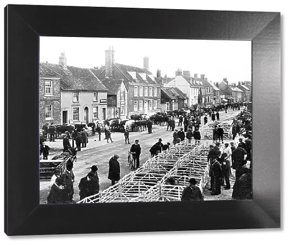 Thame Cattle Market early 1900s