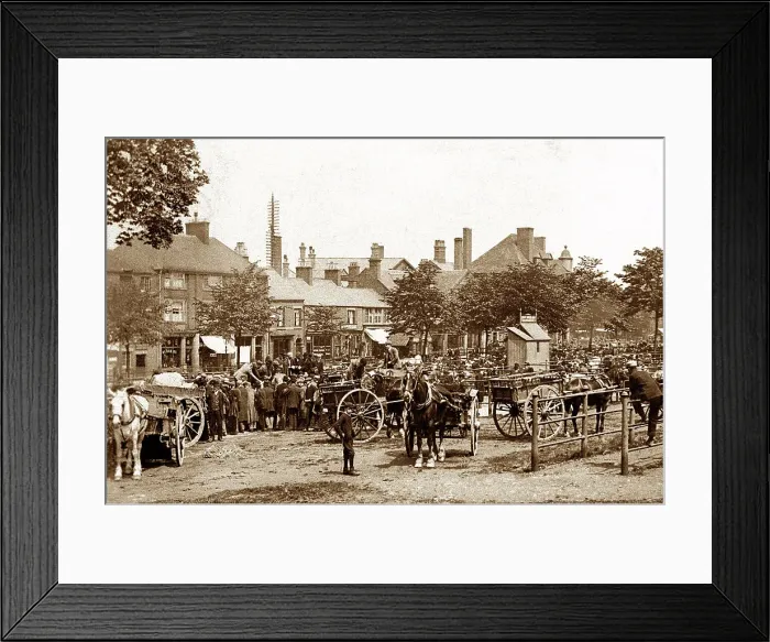 Framed Print : Leek Cattle Market early 1900's Framed Print : Leek Cattle Market early 1900's