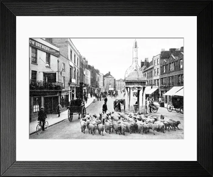 Framed Print : High Street, Chelmsford early 1900's Framed Print : High Street, Chelmsford early 1900's