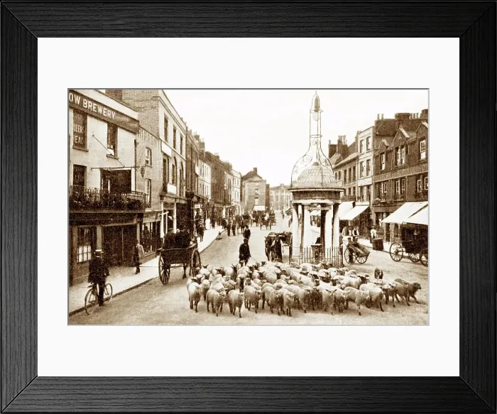 Framed Print : Chelmsford High Street early 1900s Framed Print : Chelmsford High Street early 1900s
