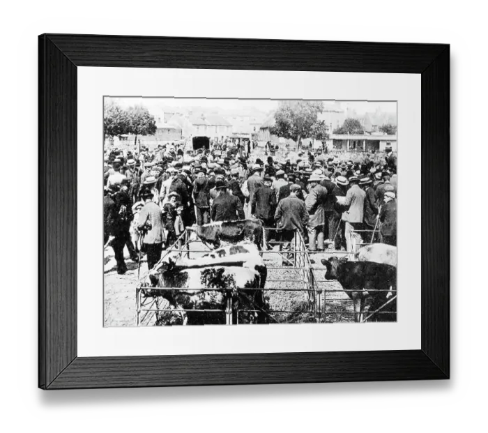 Framed Print : Chichester Market early 1900s Framed Print : Chichester Market early 1900s