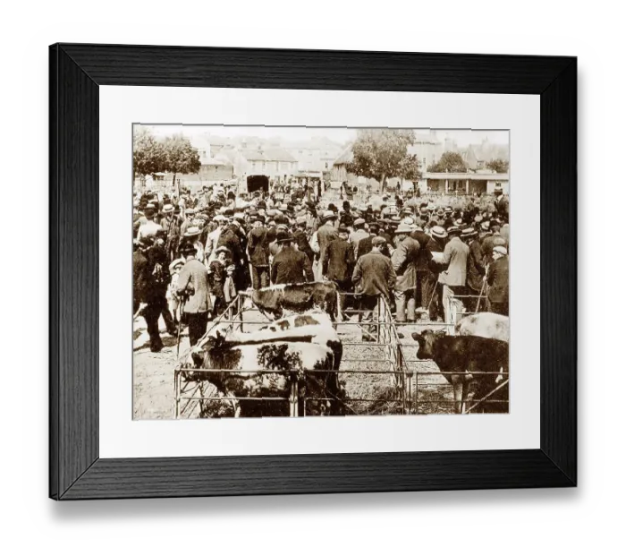 Framed Print : Market, Chichester early 1900's Framed Print : Market, Chichester early 1900's