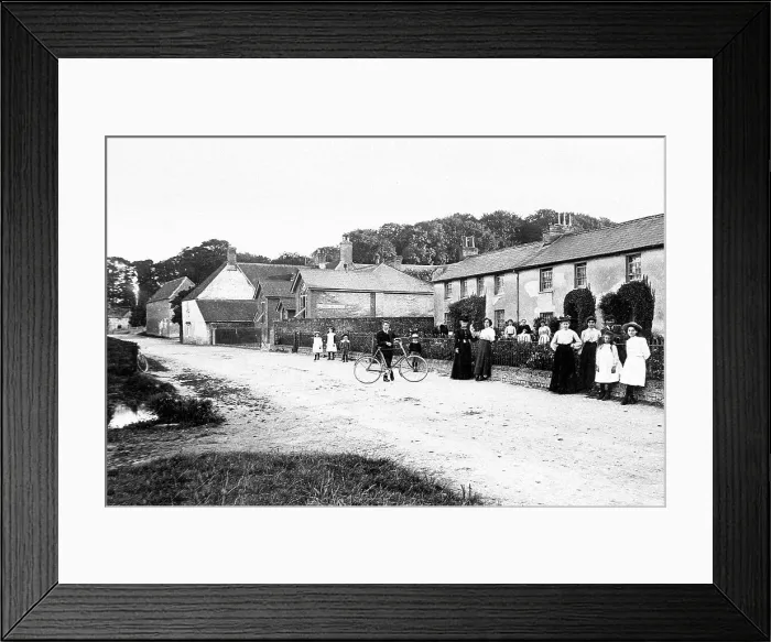 Framed Print : Shroton Ivy Porth Cottages early 1900s Framed Print : Shroton Ivy Porth Cottages early 1900s