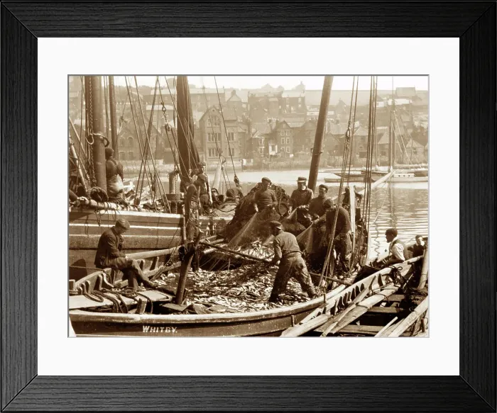 Framed Print : Fishermen, Whitby early 1900's Framed Print : Fishermen, Whitby early 1900's