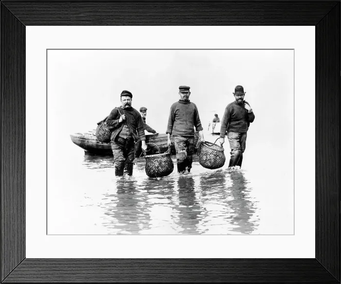 Framed Print : Whitstable Fishermen early 1900s Framed Print : Whitstable Fishermen early 1900s