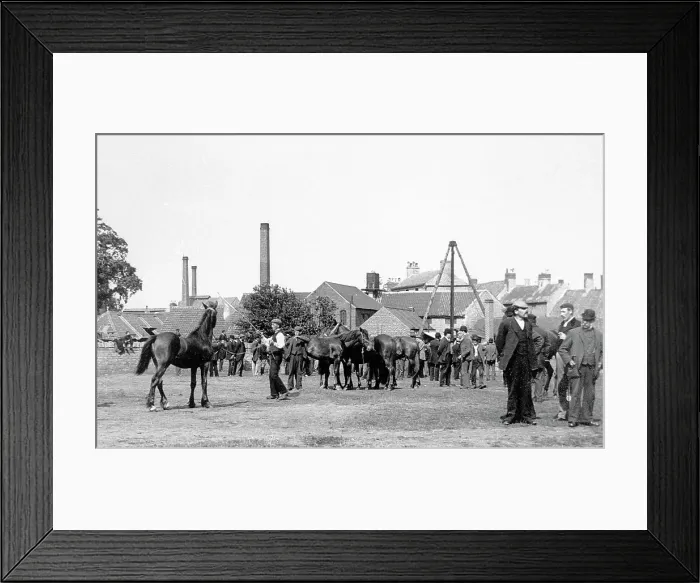 Framed Print : Mansfield Horse Fair early 1900s Framed Print : Mansfield Horse Fair early 1900s