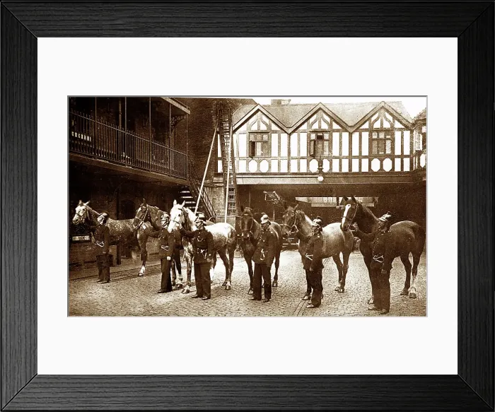 Framed Print : Birmingham Fire Brigade Horses Victorian period