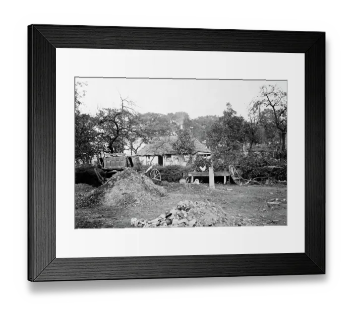 Framed Print : Market Garden opposite Lambeth Schools, Norwood, London Framed Print : Market Garden opposite Lambeth Schools, Norwood, London