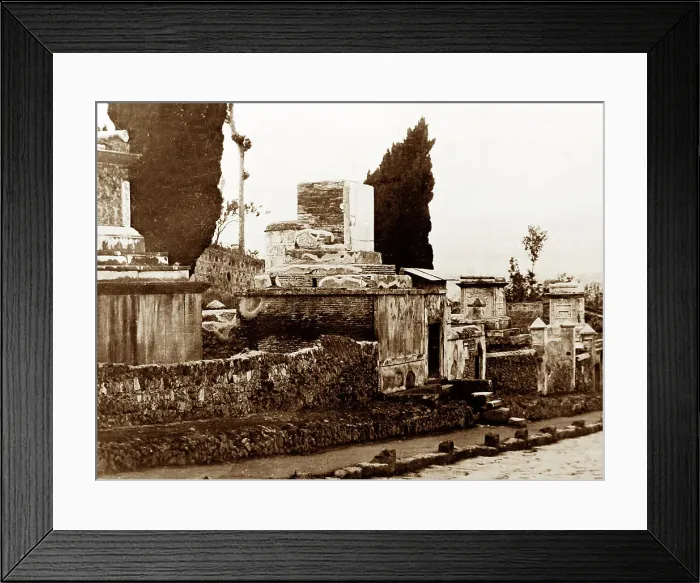 Framed Print : Market Garden opposite Lambeth Schools, Norwood, London Framed Print : Market Garden opposite Lambeth Schools, Norwood, London