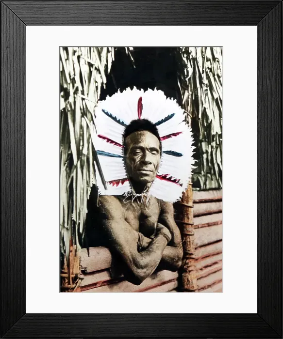Framed Print : Tribal headdress, Papua New Guinea, Victorian period