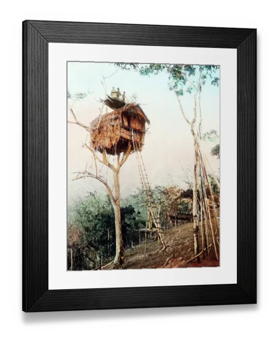 Framed Print : Treehouse, Papua New Guinea, Victorian period Framed Print : Treehouse, Papua New Guinea, Victorian period