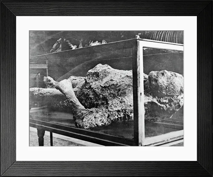 Framed Print : Plaster cast in Pompeii Museum, Pompeii, Italy Framed Print : Plaster cast in Pompeii Museum, Pompeii, Italy