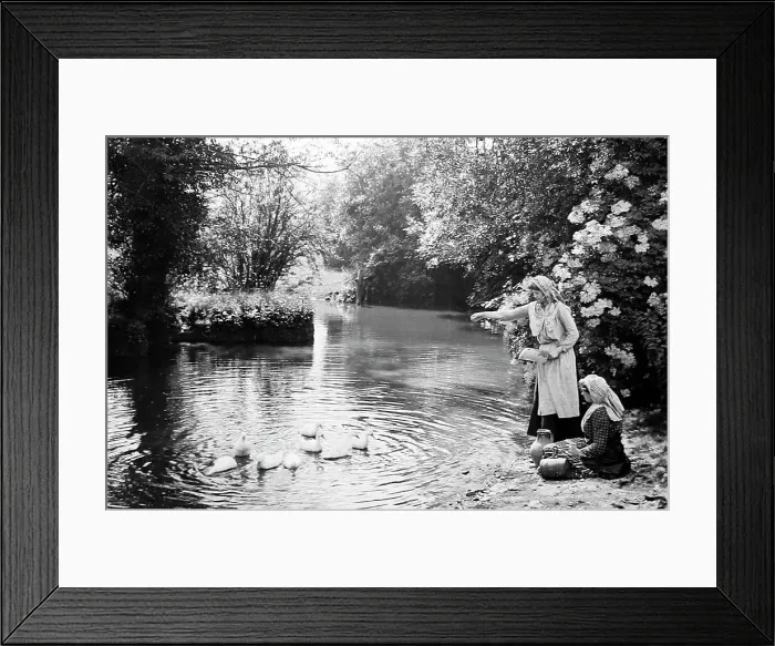 Framed Print : Feeding the ducks, Victorian period Framed Print : Feeding the ducks, Victorian period