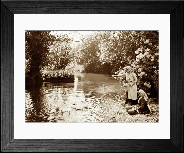 Framed Print : Feeding the ducks, Victorian period Framed Print : Feeding the ducks, Victorian period