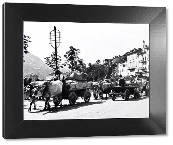 Bullock Cart, Lugano, Switzerland, Victorian period