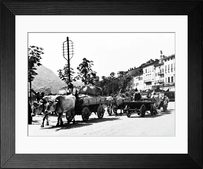 Framed Print : Bullock Cart, Lugano, Switzerland, Victorian period Framed Print : Bullock Cart, Lugano, Switzerland, Victorian period