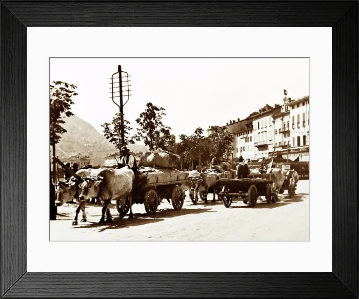 Framed Print : Bullock Cart, Lugano, Switzerland, Victorian period Framed Print : Bullock Cart, Lugano, Switzerland, Victorian period