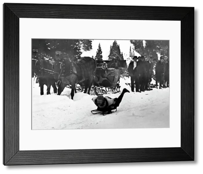 Framed Print : Tobogganing, St. Moritz, Switzerland, Victorian period Framed Print : Tobogganing, St. Moritz, Switzerland, Victorian period