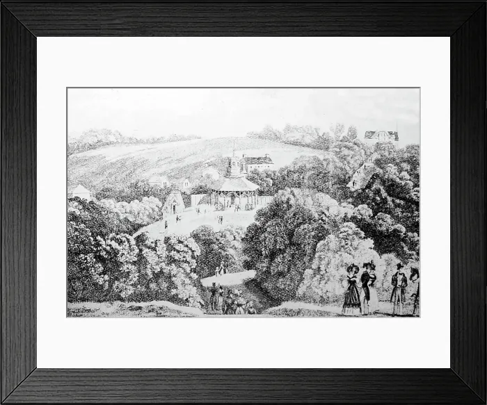 Framed Print : Royal Beulah Spa, London, Victorian period Framed Print : Royal Beulah Spa, London, Victorian period