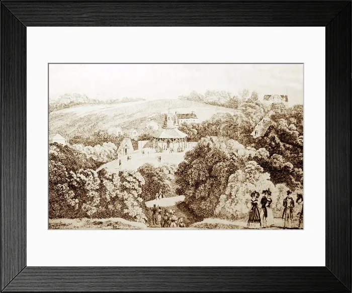 Framed Print : Royal Beulah Spa, London, Victorian period Framed Print : Royal Beulah Spa, London, Victorian period