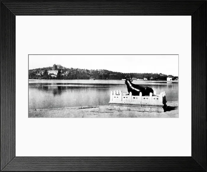 Framed Print : Bronze Bull, Summer Palace, Beijing, China, early 1900s Framed Print : Bronze Bull, Summer Palace, Beijing, China, early 1900s