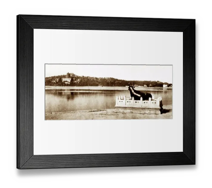 Framed Print : Bronze Bull, Summer Palace, Beijing, China, early 1900s Framed Print : Bronze Bull, Summer Palace, Beijing, China, early 1900s
