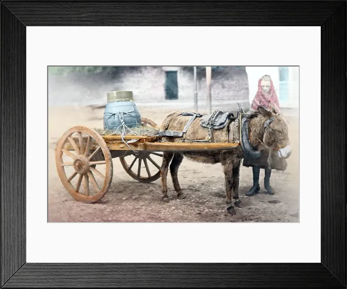 Framed Print : Milk cart, Killarney, Ireland, Victorian period Framed Print : Milk cart, Killarney, Ireland, Victorian period