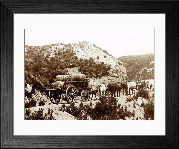 Framed Print : Transporting wool from Sheep Station to the Railway Station Framed Print : Transporting wool from Sheep Station to the Railway Station